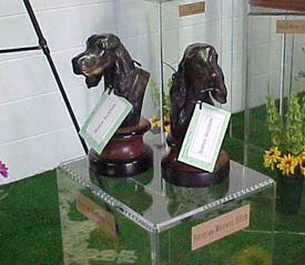 Reserve_trophies.jpg (24388 bytes)